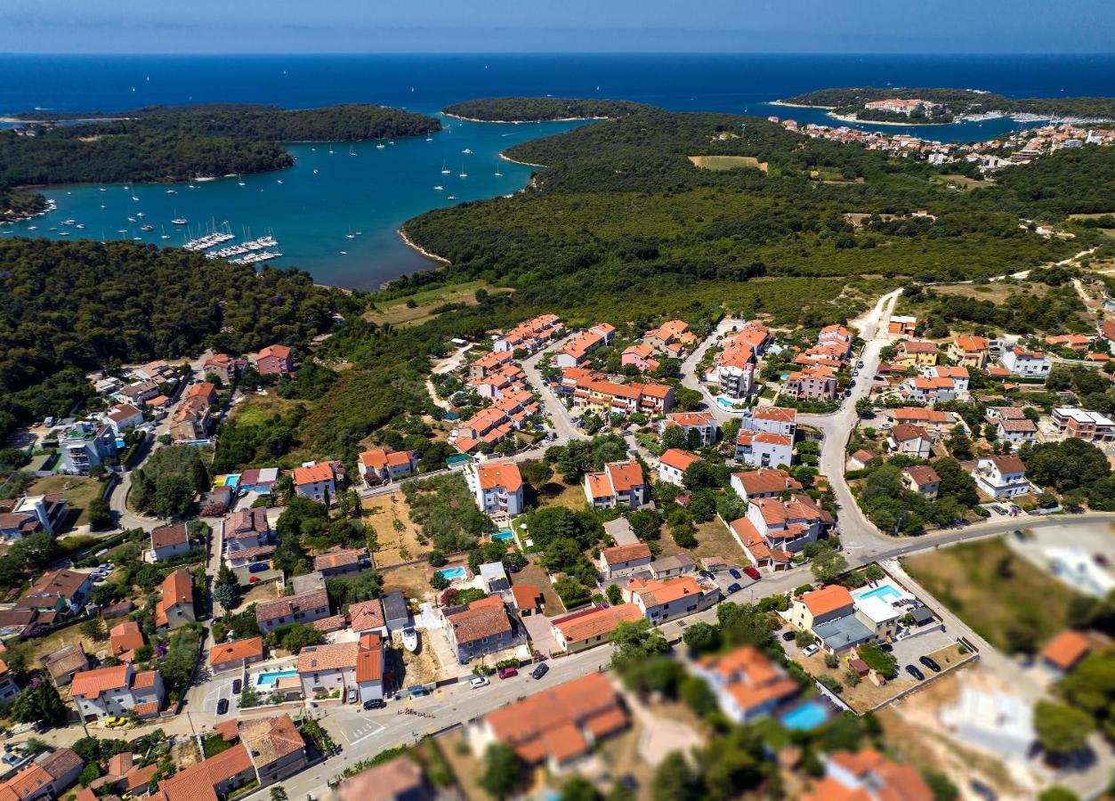 Vita Vinkuran